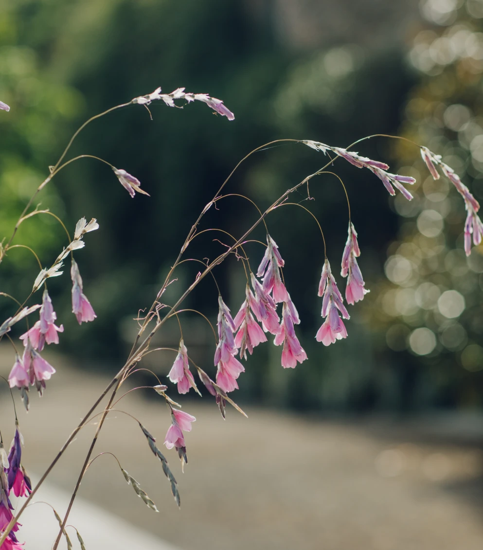 Inspiration image 22