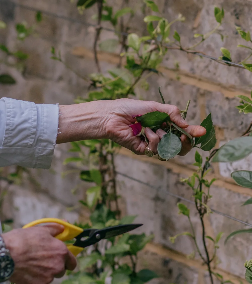 Inspiration image 25