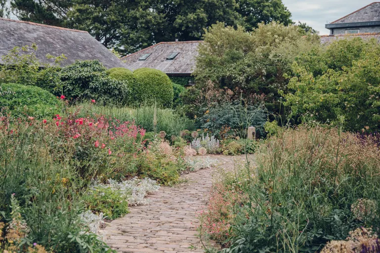 Live beautifully membership card