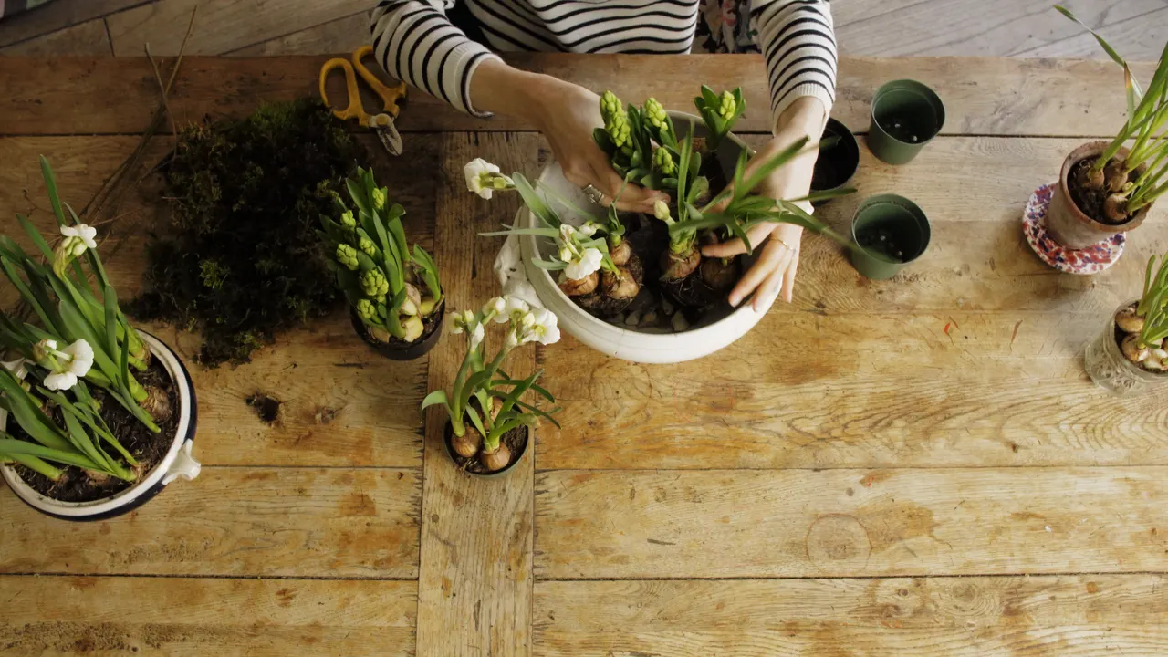 Create Academy call to action banner